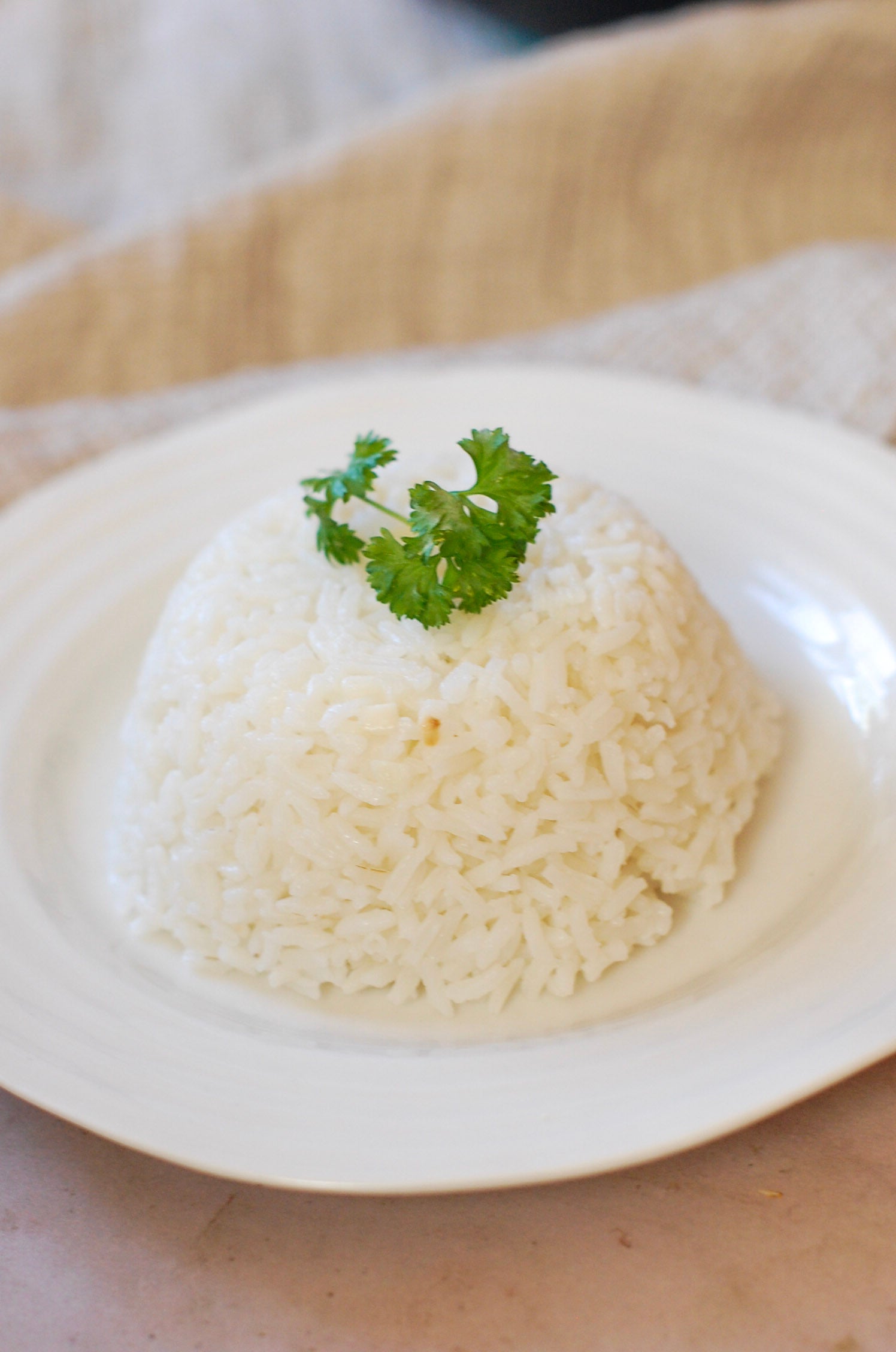 Plain White Rice